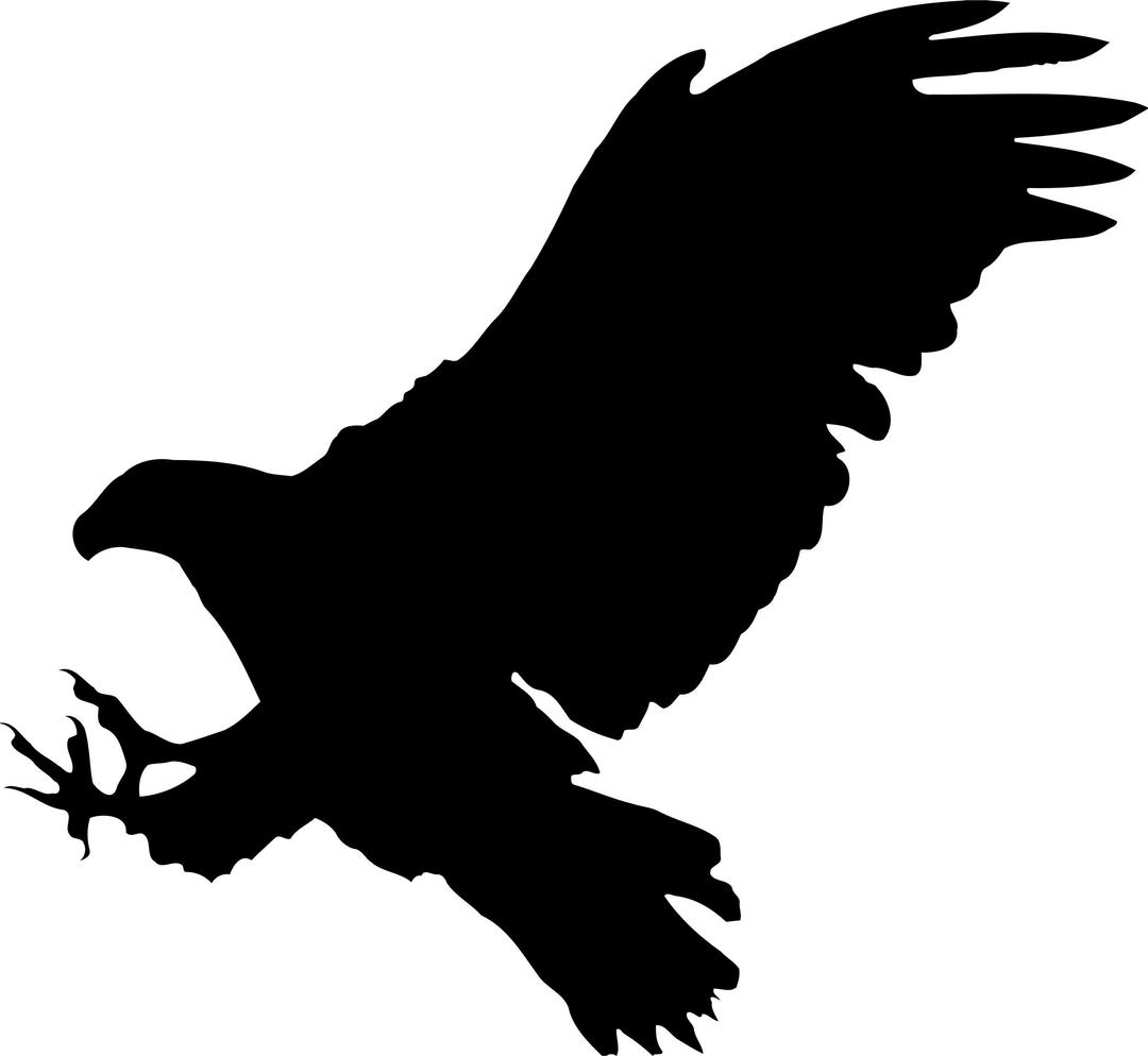 Eagle 9 silhouette png transparent