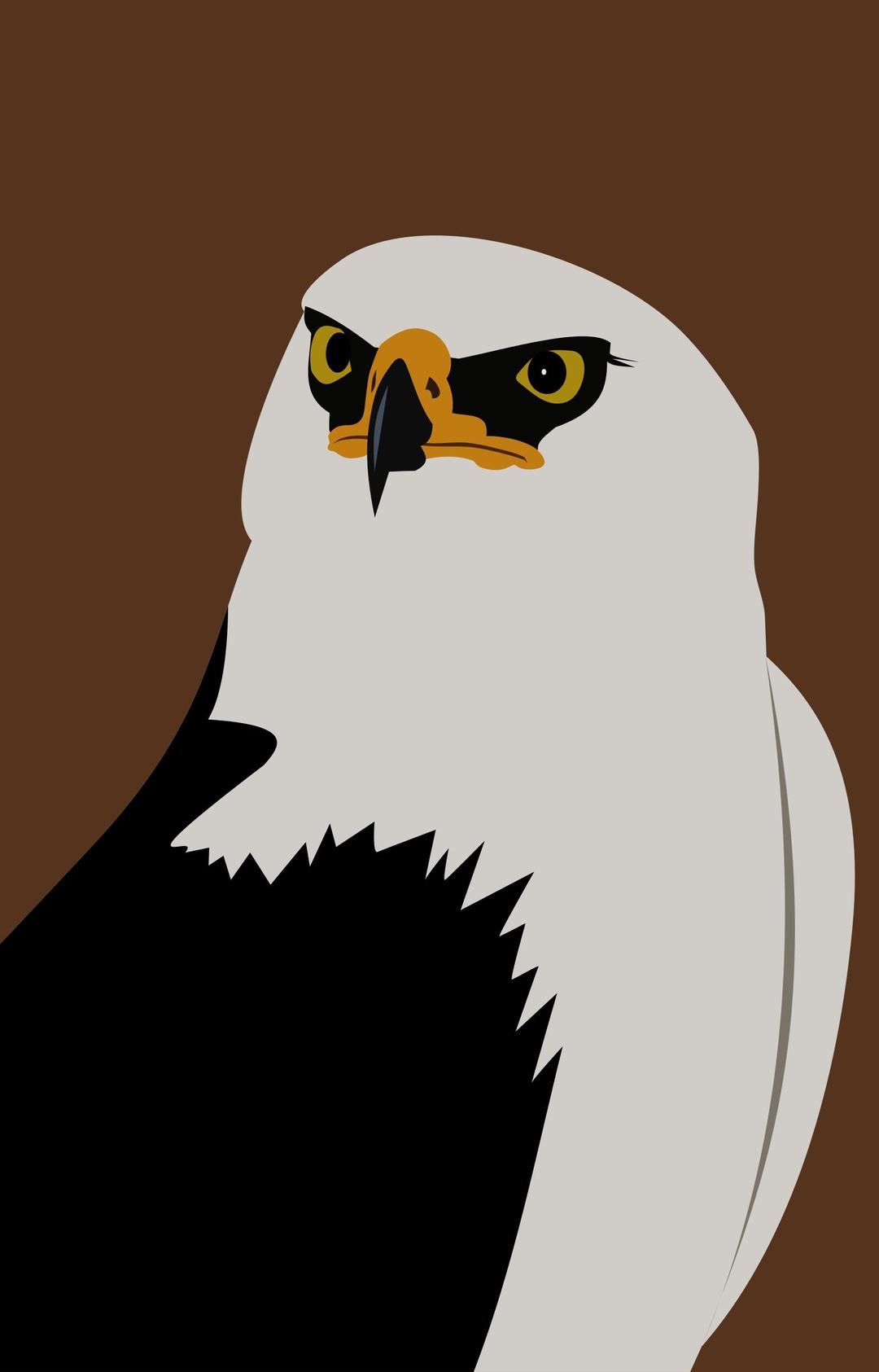 Eagle by Rones png transparent