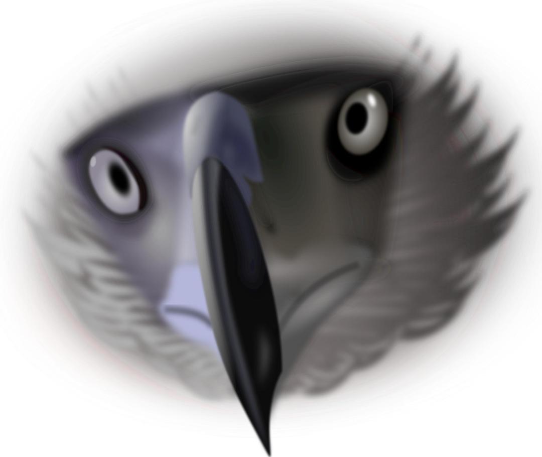 Eagle face png transparent