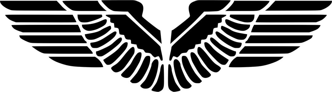 Eagle Wings Silhouette png transparent