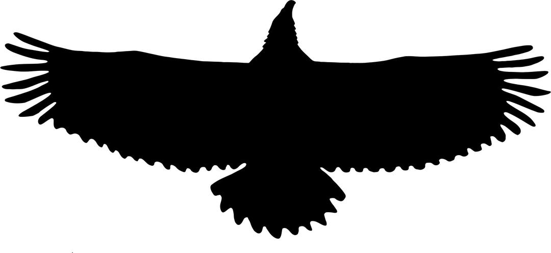 Eagle Wingspan Silhouette png transparent