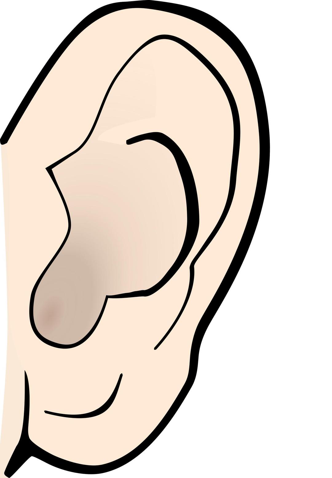 ear colored png transparent