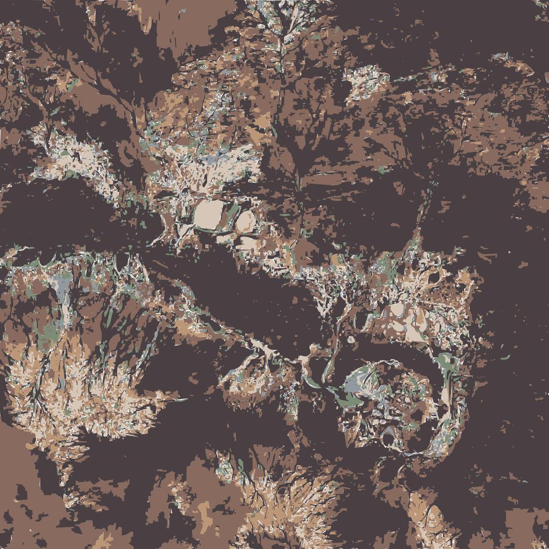 Earth as Art from NASA page 101-150 (Vectorized) 27 png transparent