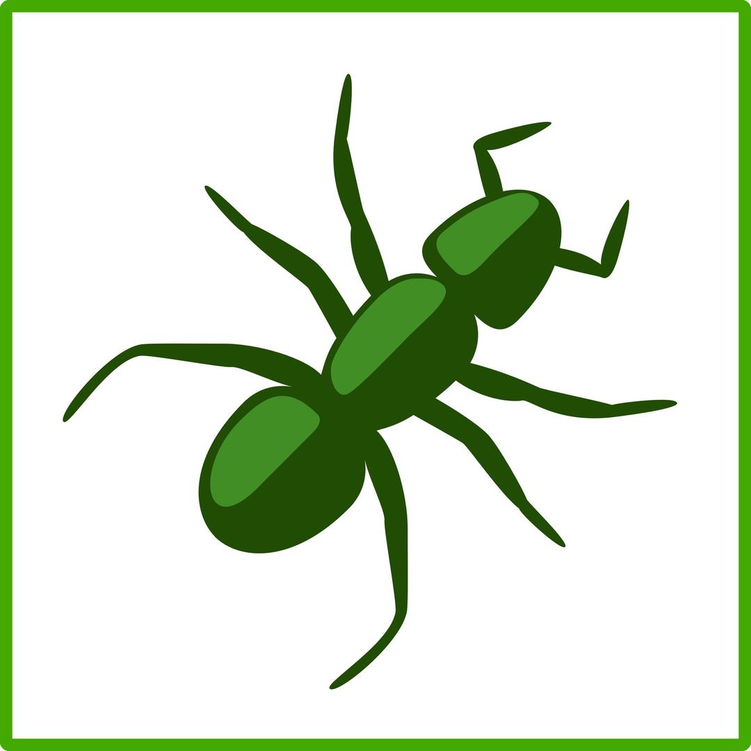 Eco green ant icon png transparent