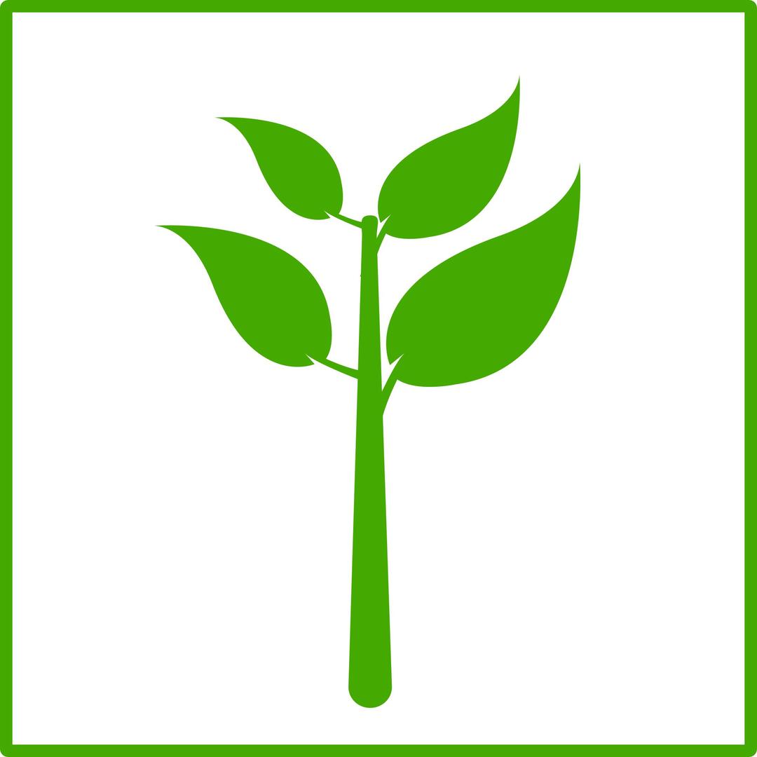 eco green plant icon png transparent