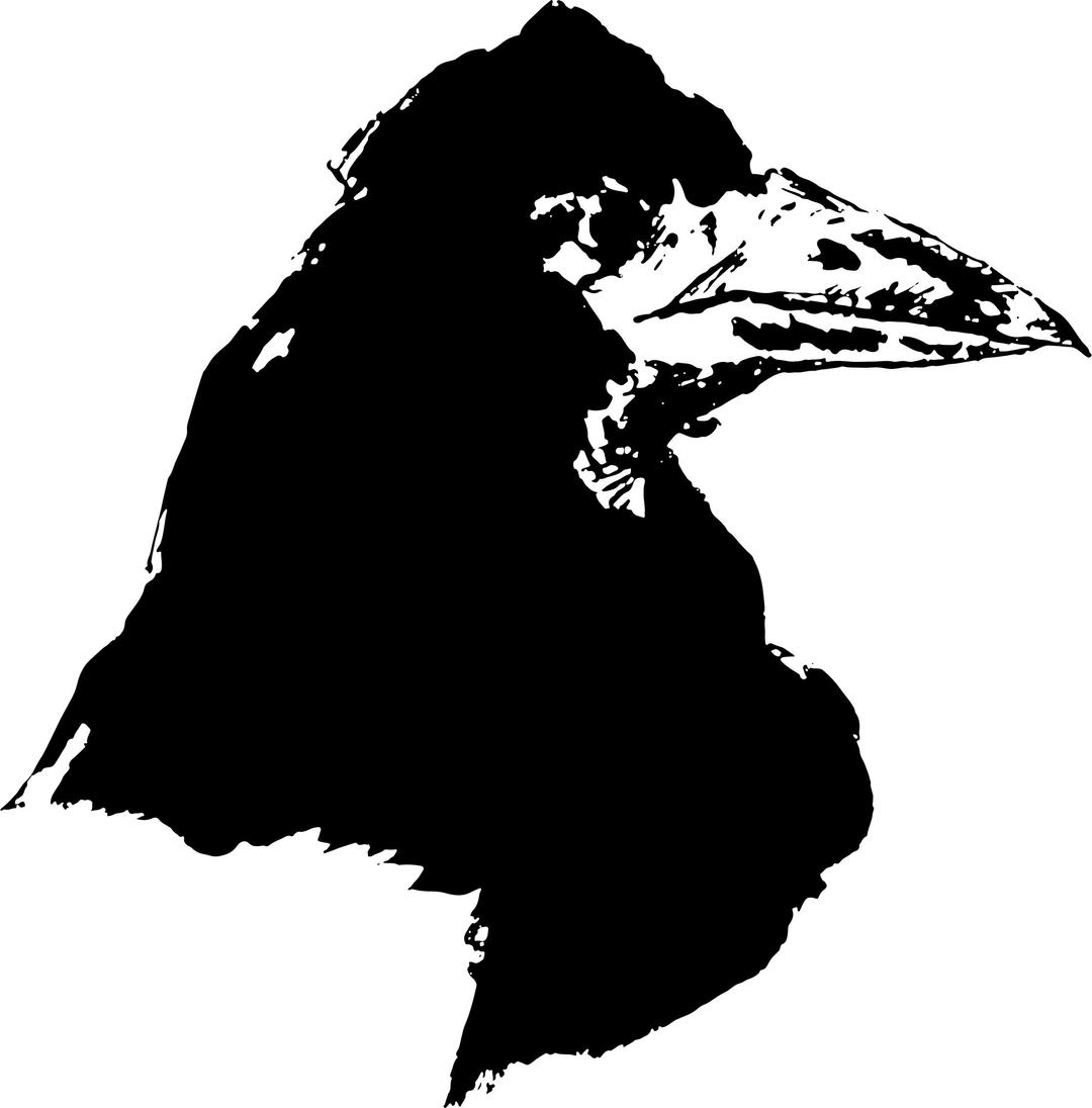 Edouard Manet's The Raven (Le Corbeau) png transparent