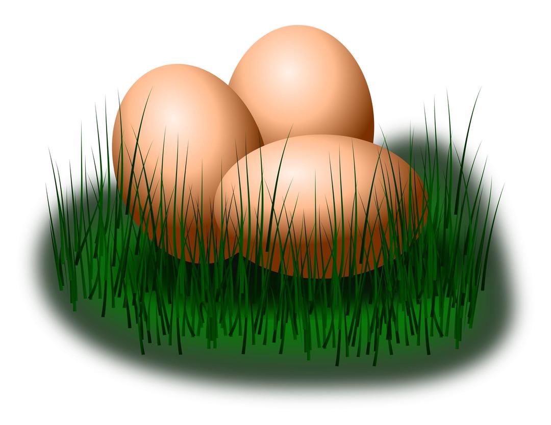 egg in grass png transparent
