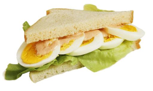Egg Sandwich png transparent