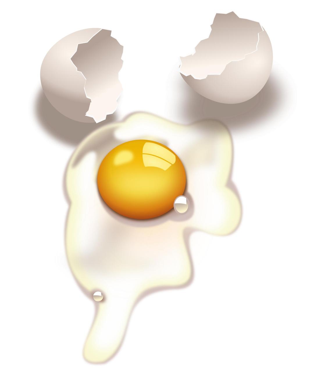 egg -uncooked png transparent