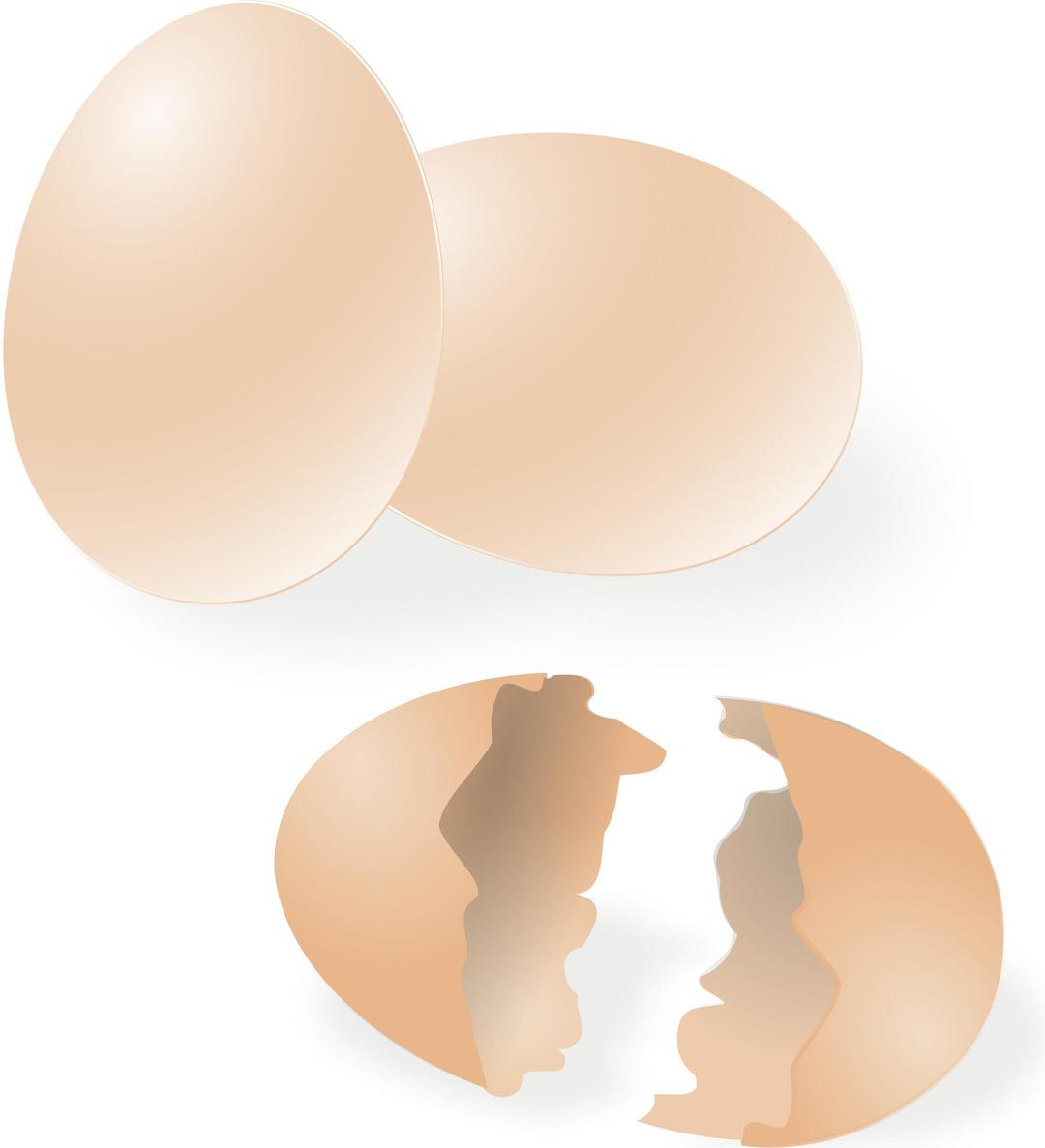 Eggs png transparent