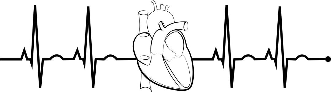 EKG Realistic Heart png transparent