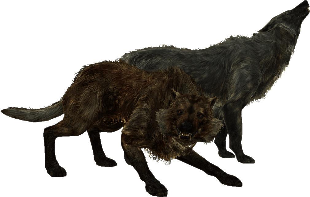 Elder Scrolls Skyrim Wolves png transparent