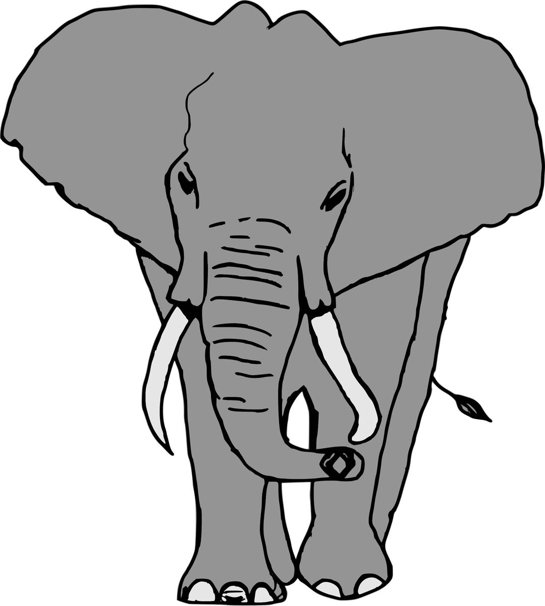 Elefante png transparent