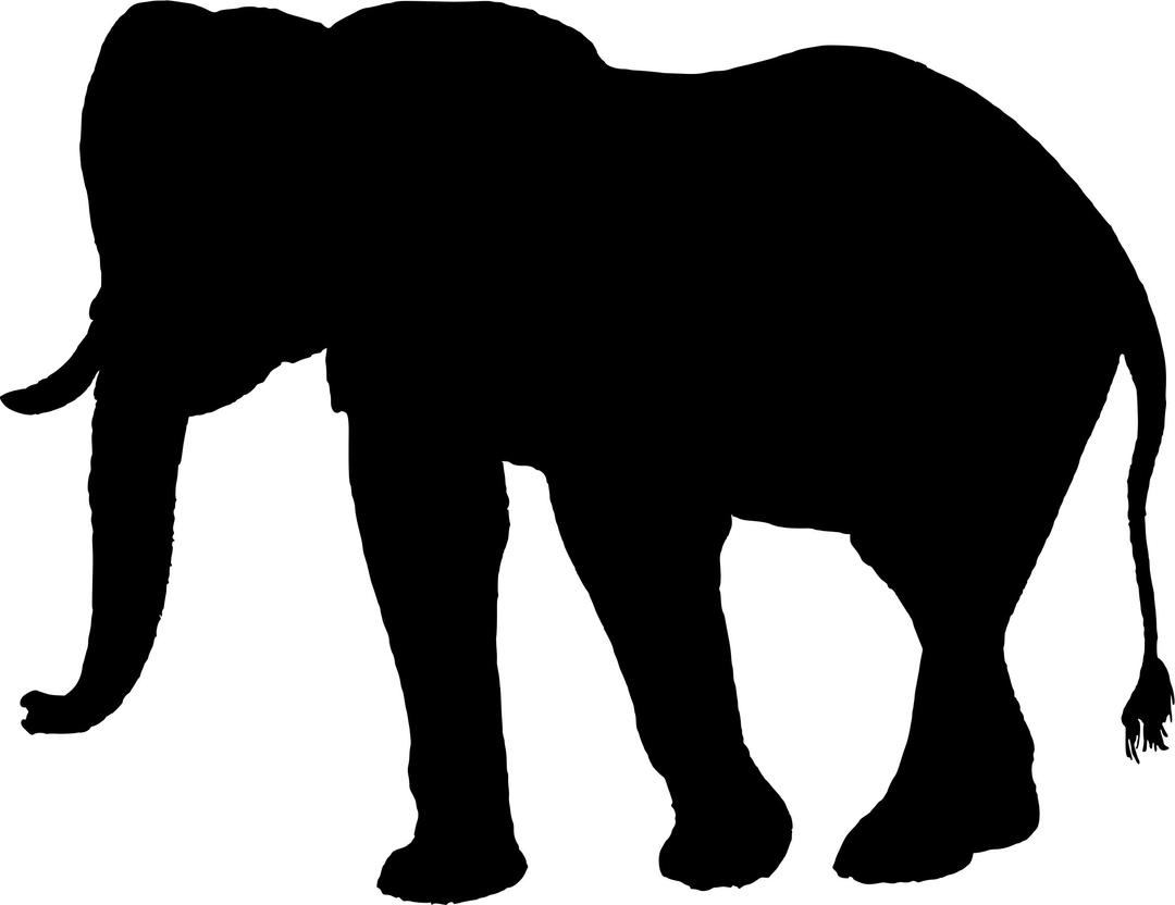 Elephant Silhouette png transparent