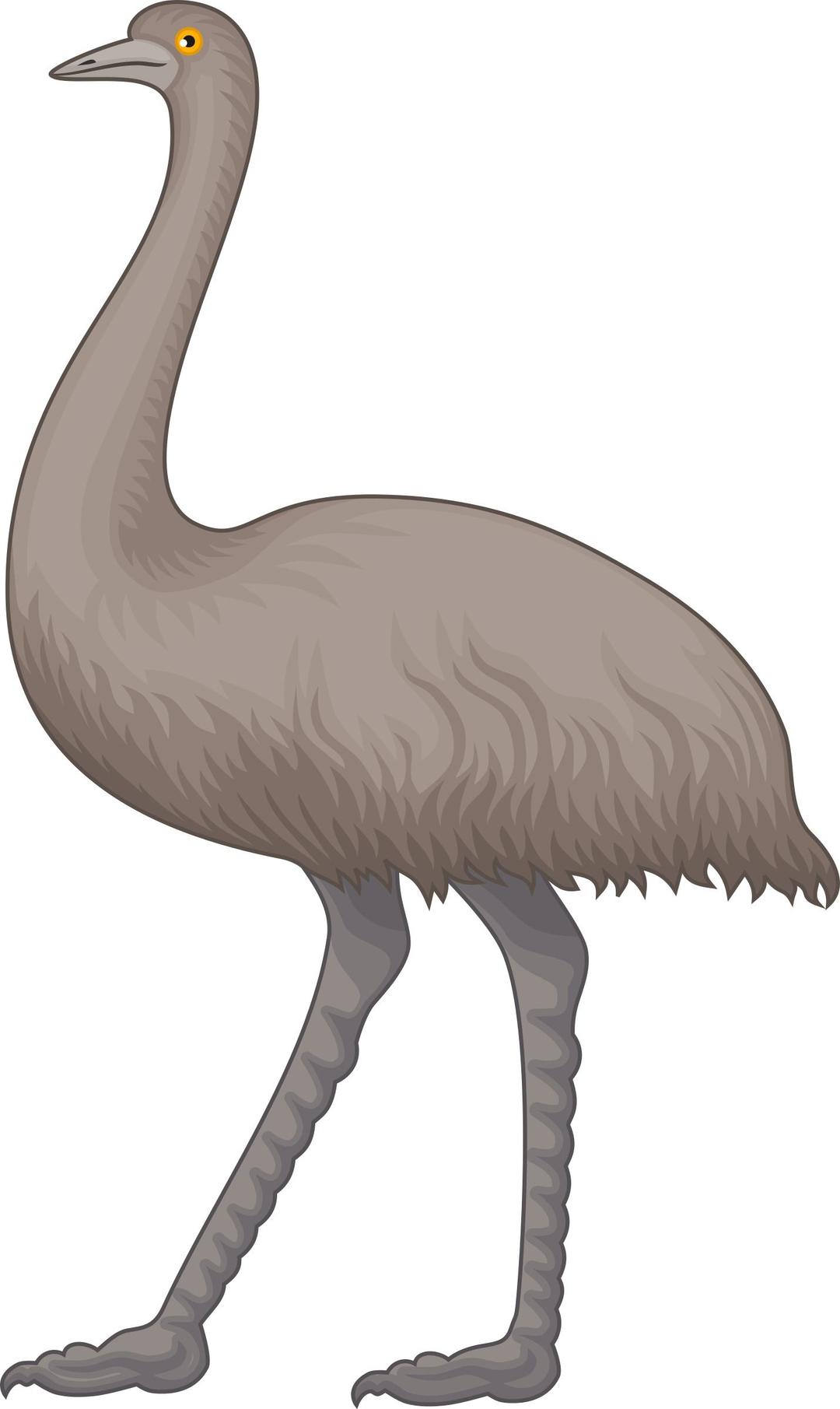Emu 2 png transparent