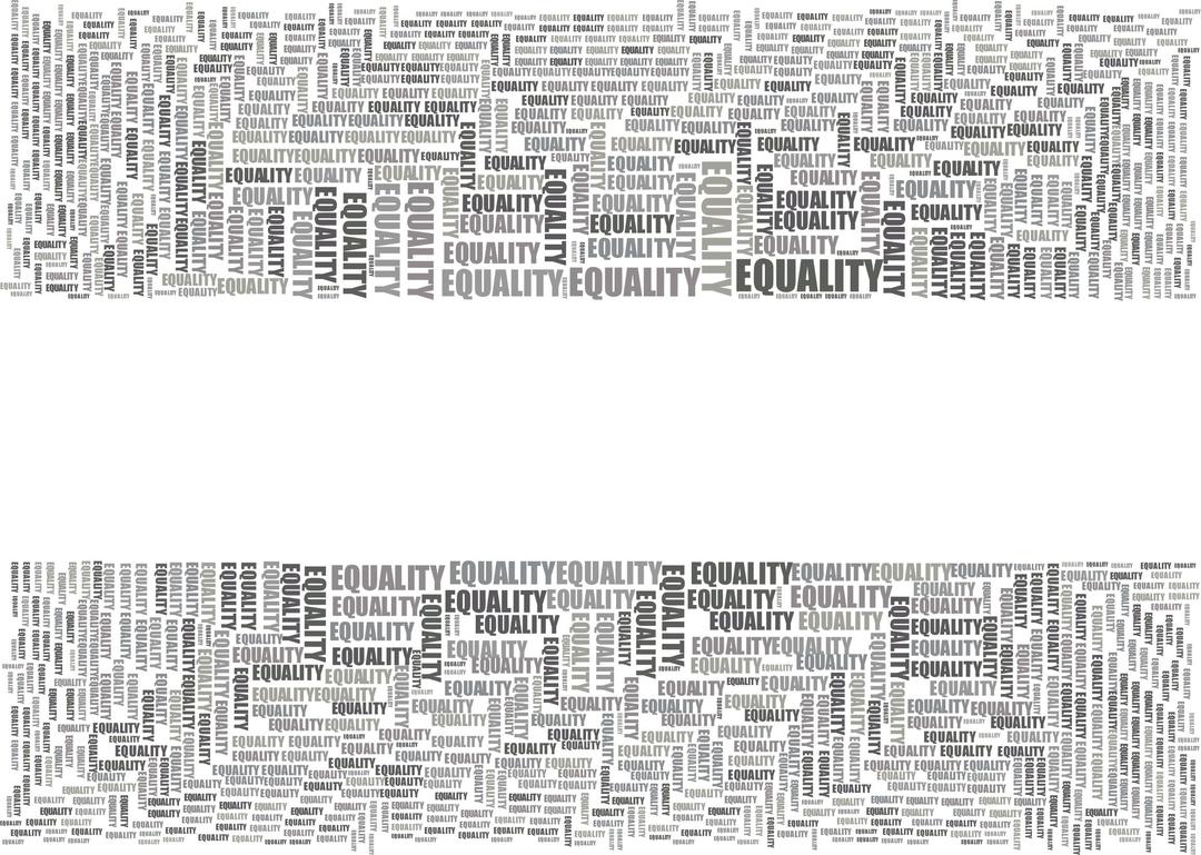 Equal Equality Grayscale png transparent
