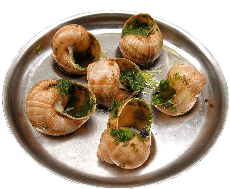 Escargots In Garlic Butter png transparent