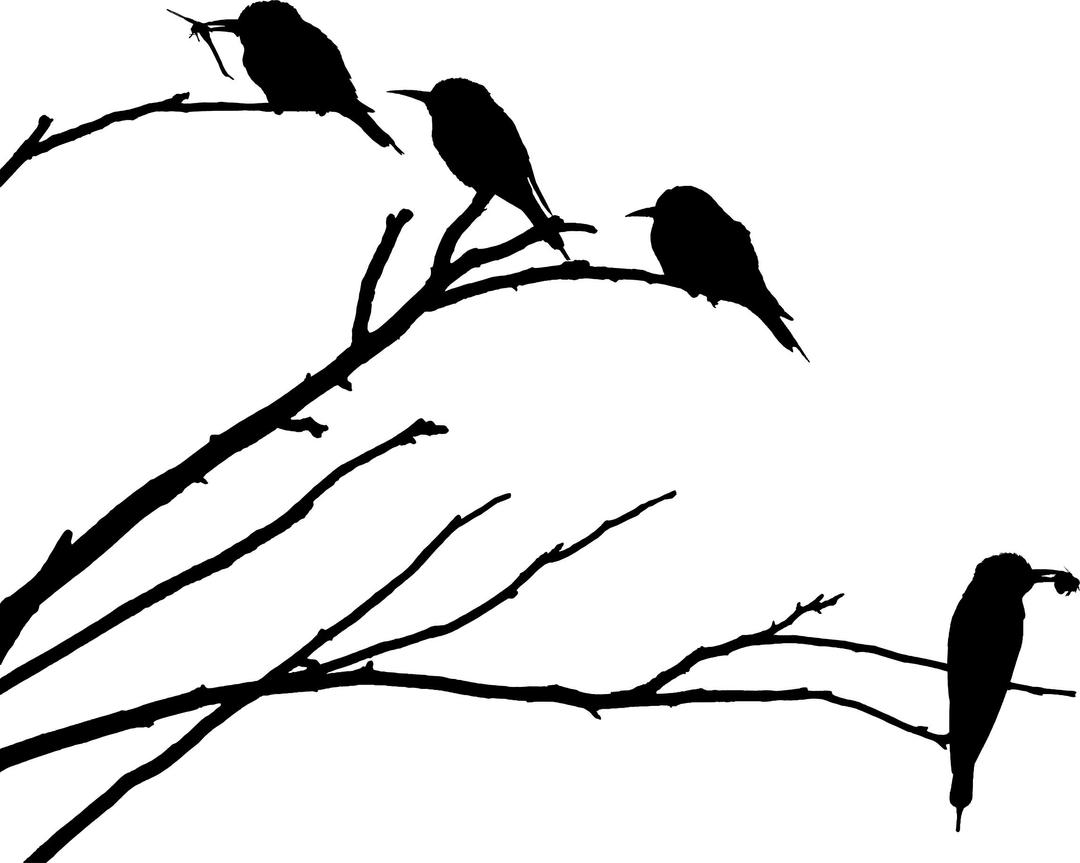 European Bee Eaters Silhouette png transparent