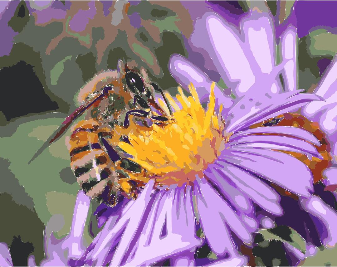 European honey bee extracts nectar png transparent