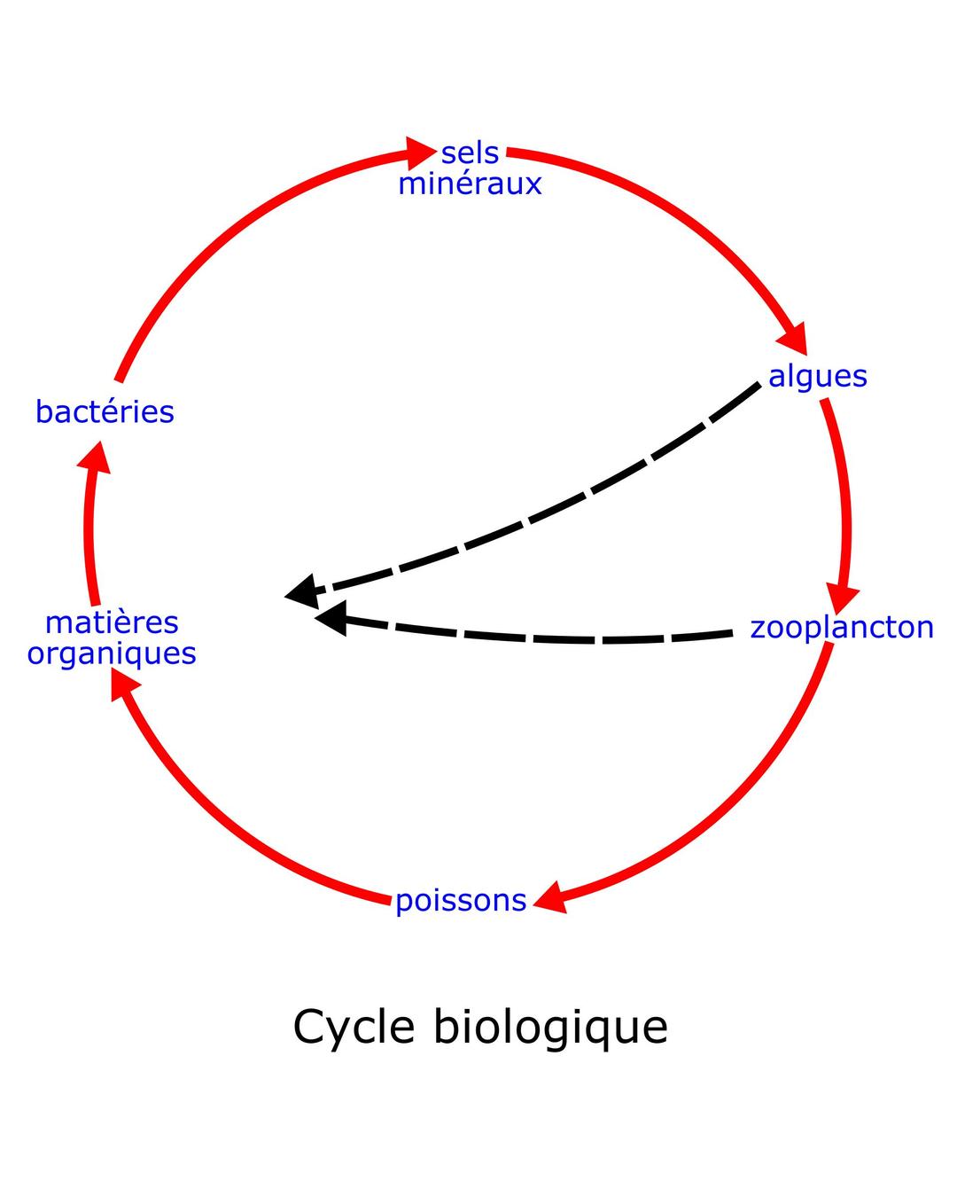 eutrophisation cycle png transparent
