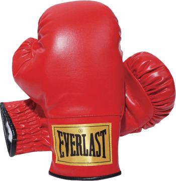 Everlast Boxing Gloves png transparent