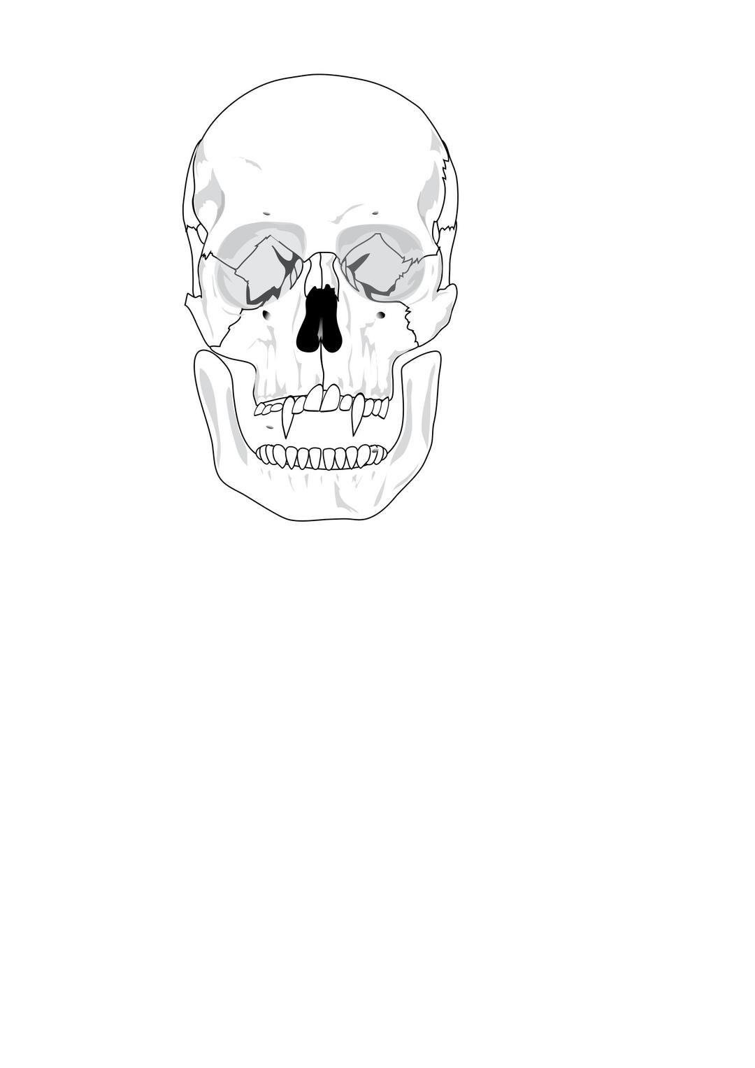 evil skull png transparent