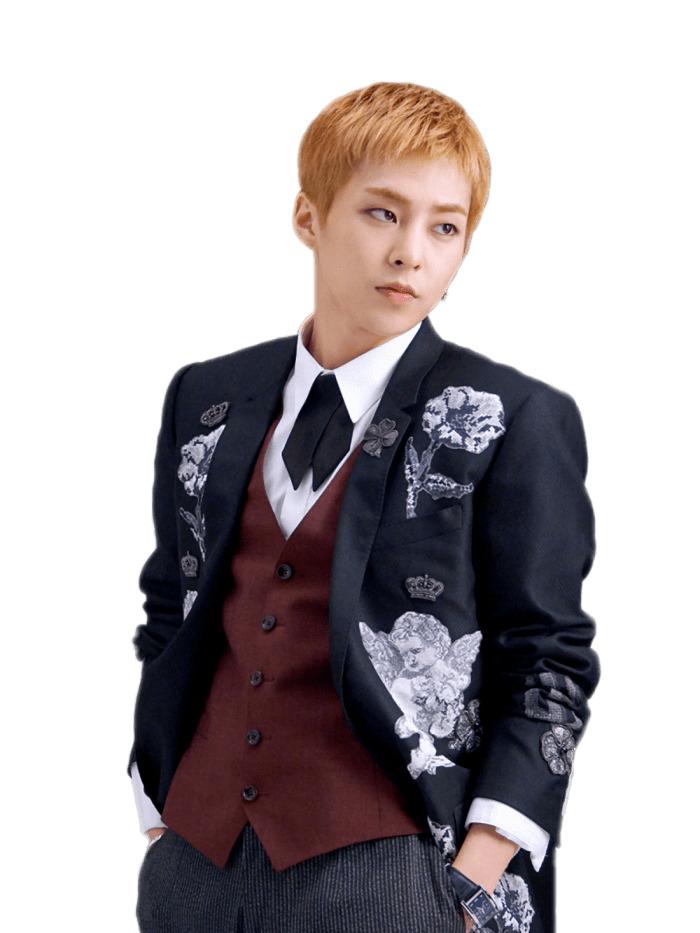 EXO Xiumin Angel Vest png transparent