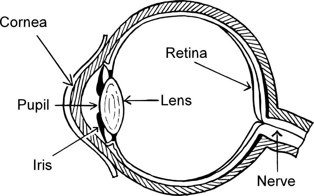 Eye diagram png transparent