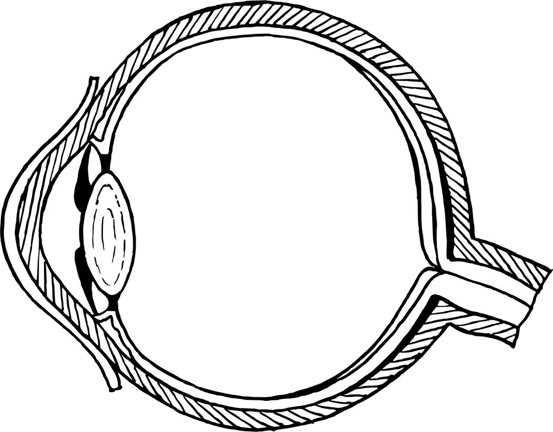 Eye diagram without annotation png transparent