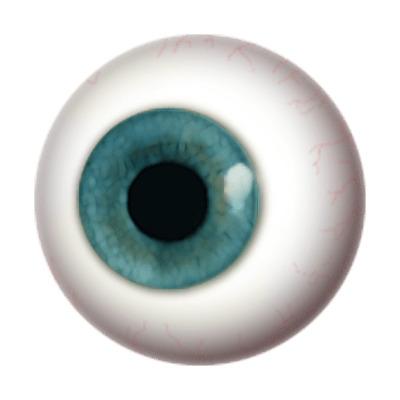 Eye Globe png transparent