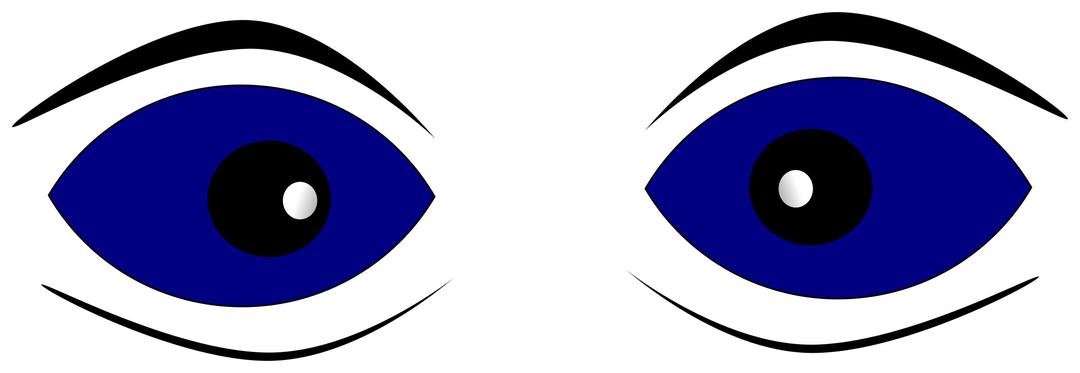 Eyes on the nose png transparent