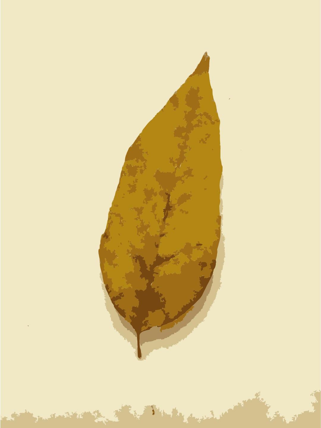 Fall Leaves 1 png transparent