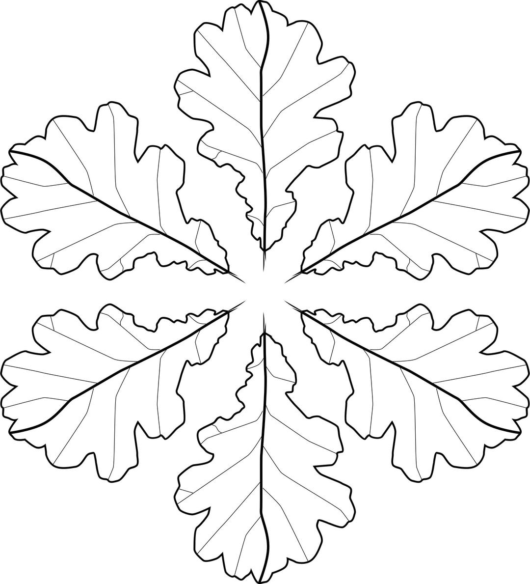 Fall Leaves Coloring Page png transparent