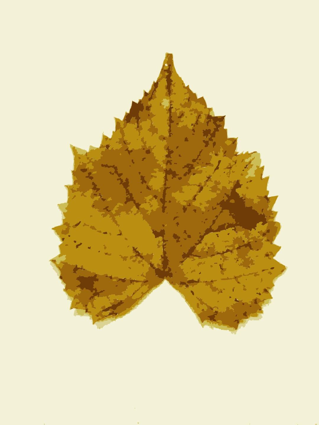 Fall leaves from Missouri trees png transparent