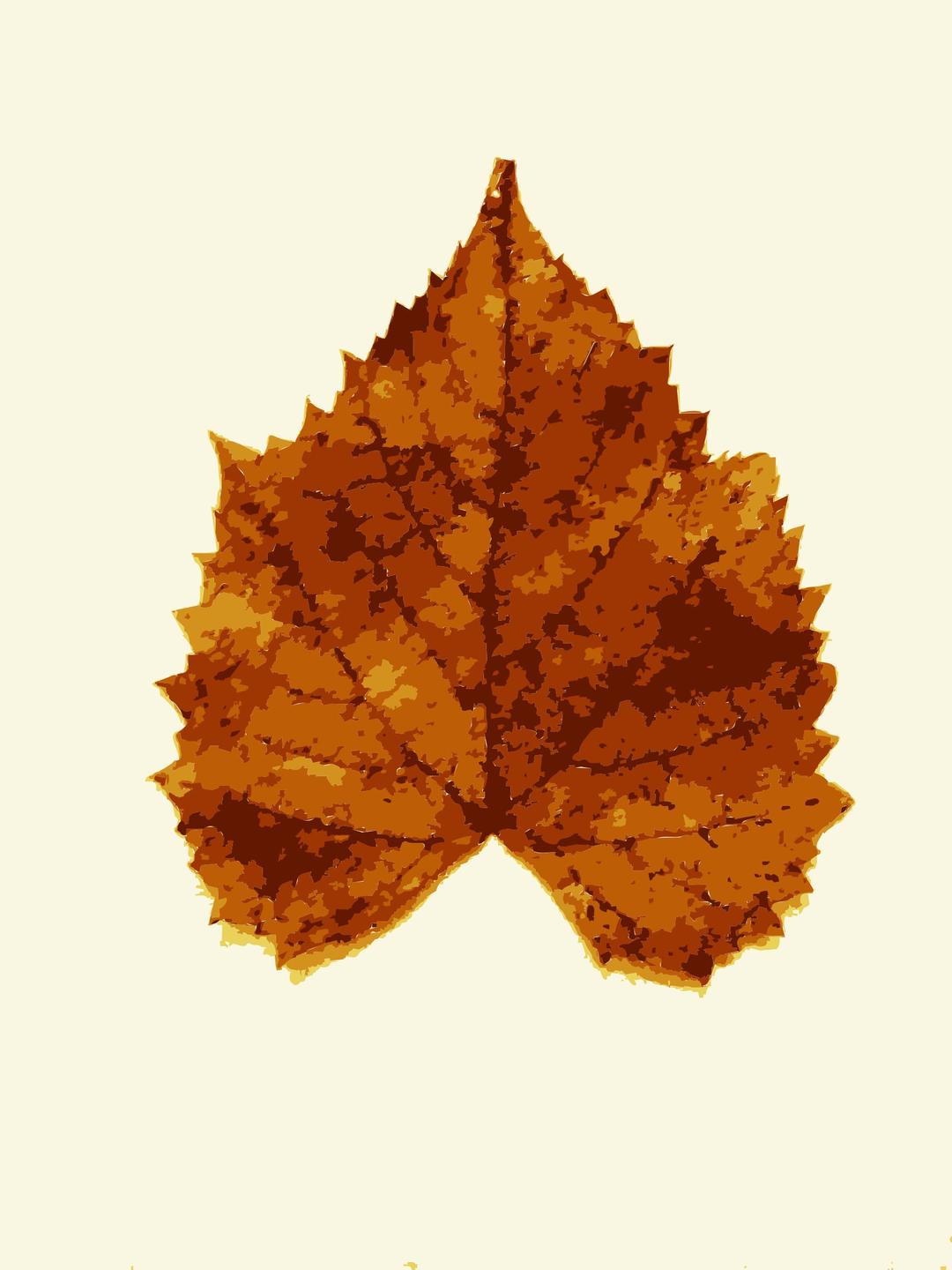 Fall leaves from Missouri trees 3 png transparent