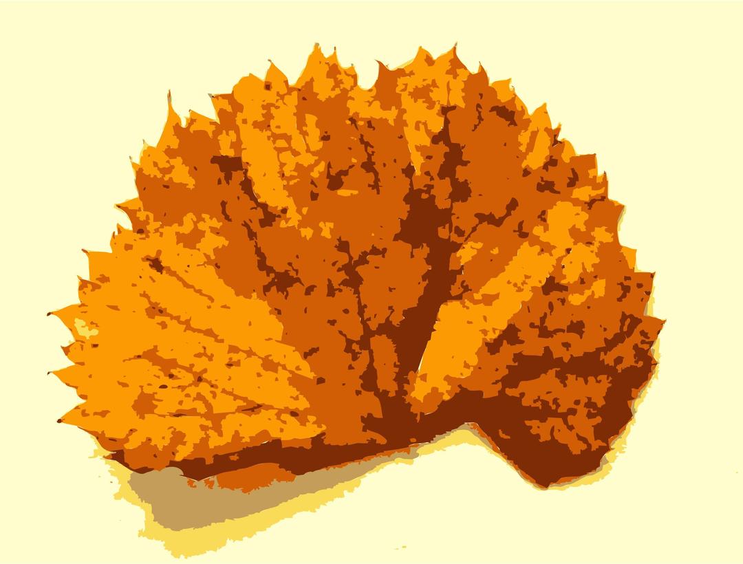 Fall leaves with color png transparent