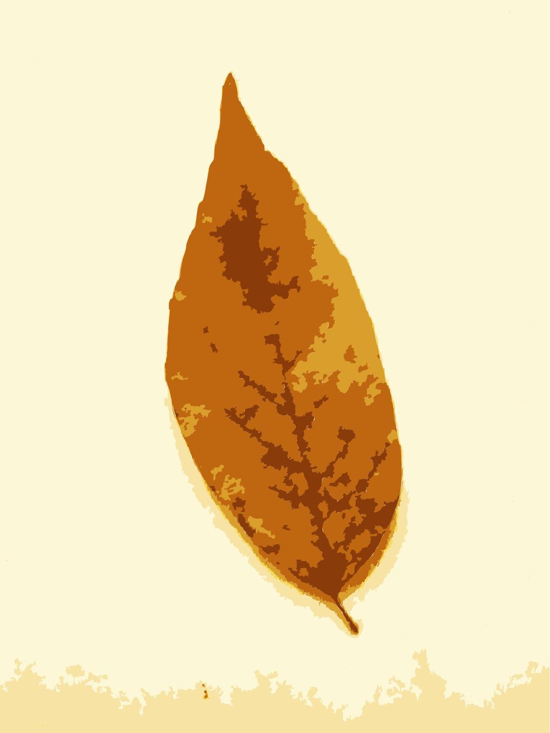 Fall leaves with color 2 png transparent
