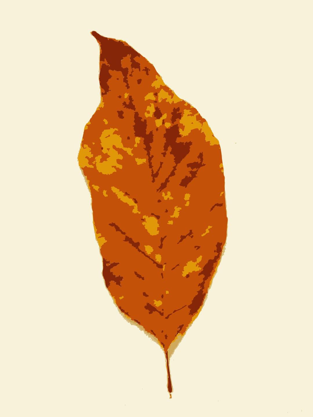 Fall leaves with color 3 png transparent