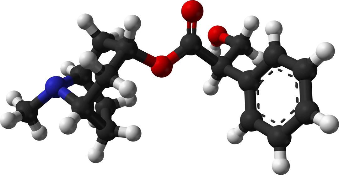 Famous (and infamous) molecules 37 - D-atropine png transparent