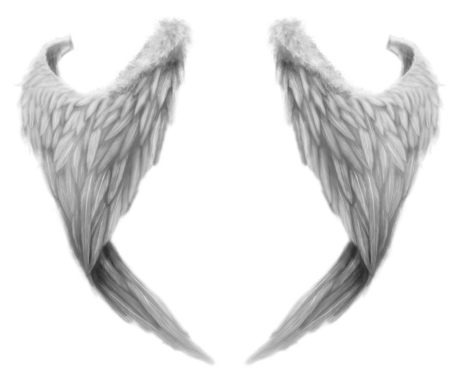 Fantasy Angel Wings png transparent