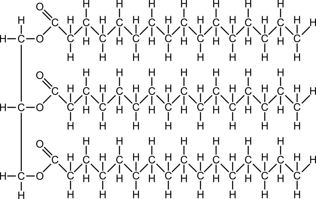 Fat molecule png transparent