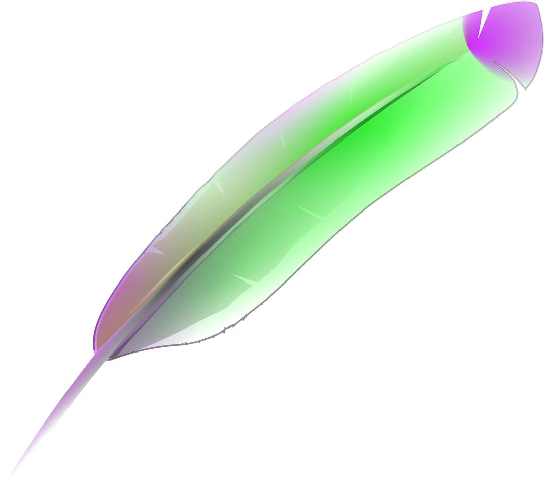 feather png transparent