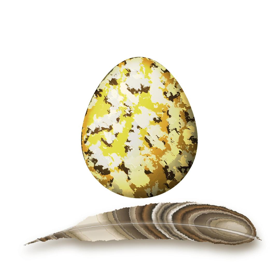 feather and egg png transparent