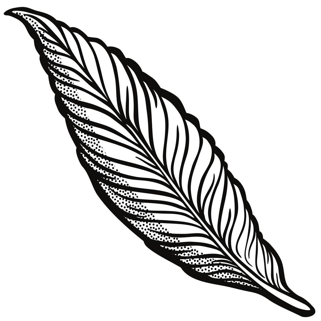 feather - lineart png transparent
