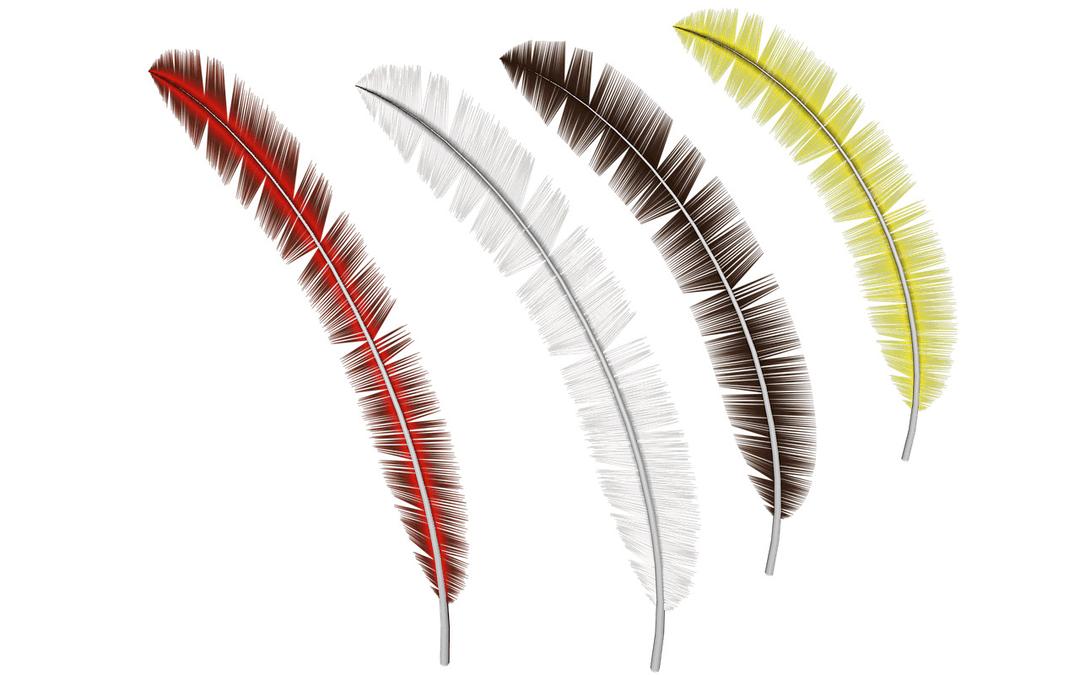 Feathers Collection png transparent