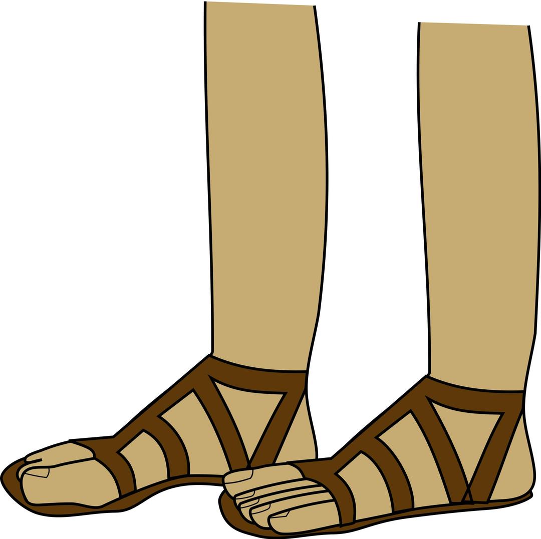 feet in sandals png transparent