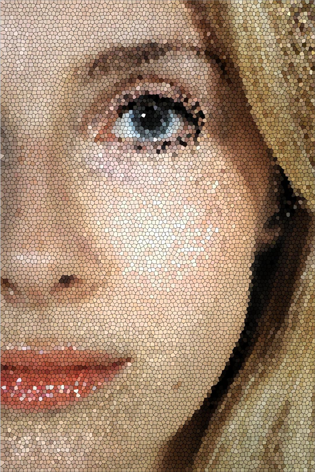 Female Face Mosaic png transparent