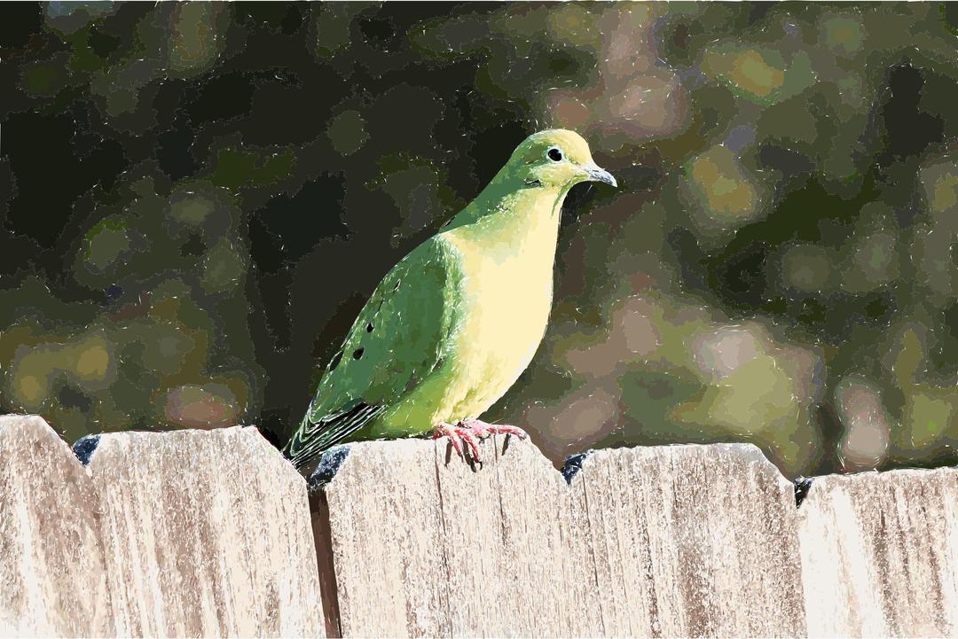 Fence Bird png transparent