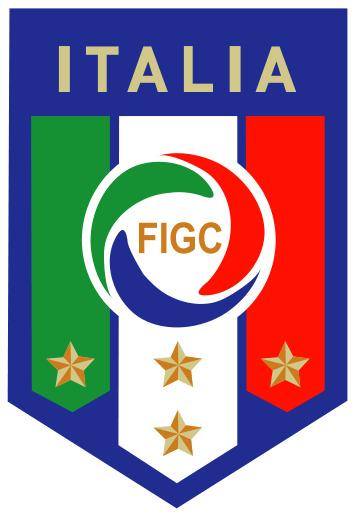 FIGC Logo png transparent