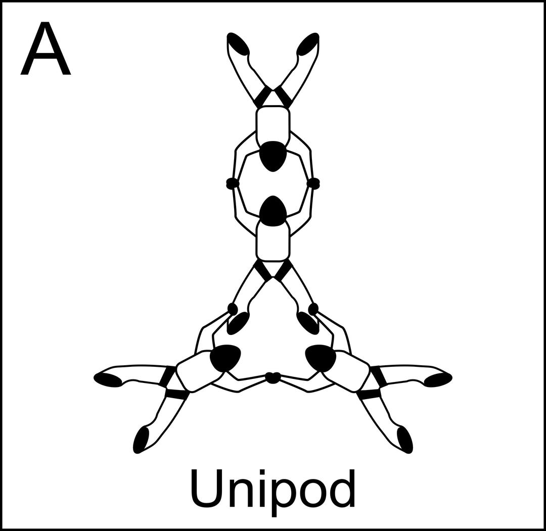 Figure A - Unipod, Vol relatif à 4, Formation Skydiving 4-Way png transparent